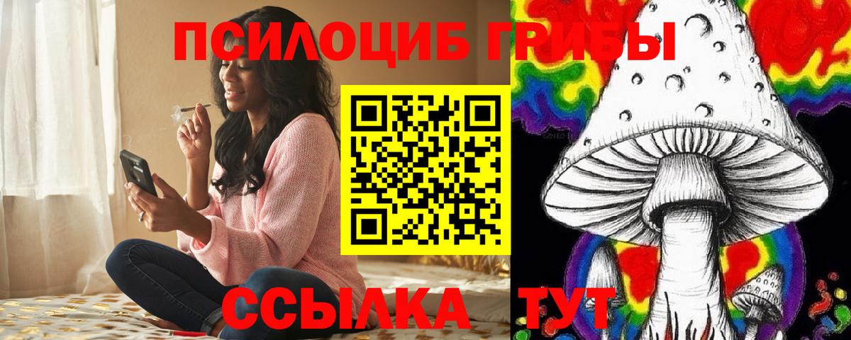 Череповец  Галлюциногенные грибы Psilocybine cubensis  Вход с VPN 